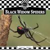 Black_widow_spiders
