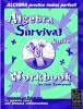 Algebra_survival_guide_workbook