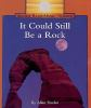 It_could_still_be_a_rock