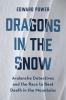 Dragons_in_the_snow