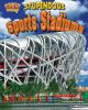 Stupendous_sports_stadiums