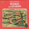 Snakes_and_Lizards