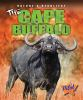 The_Cape_buffalo