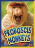 Proboscis_monkeys