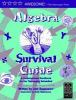 Algebra_survival_guide