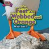 My_feet_are_webbed_and_orange