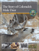 The_Story_of_Colorado_s_mule_deer