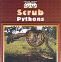 Scrub_Pythons