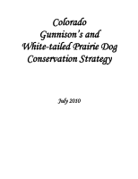 Colorado_Gunnison_s_and_white-tailed_prairie_dog_conservation_strategy