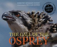 The_call_of_the_osprey