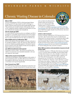 Chronic_wasting_disease_in_Colorado