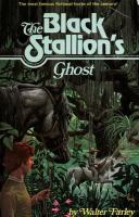 The_black_stallion_s_ghost