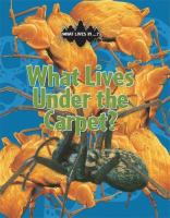 What_lives_under_the_carpet_