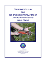 Conservation_plan_for_Rio_Grande_cutthroat_trout__oncorhynchus_clarki_virginalis__in_Colorado