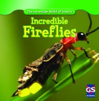 Incredible_fireflies