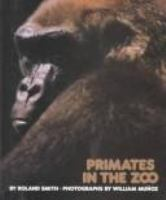 Primates_in_the_zoo