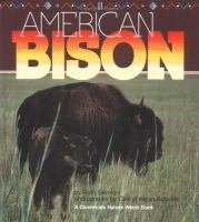 American_bison