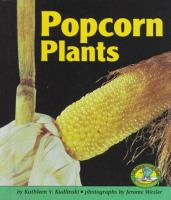 Popcorn_plants