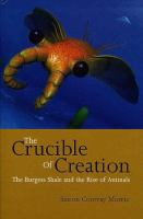 The_crucible_of_creation