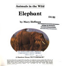 Animals_in_the_wild--elephant
