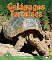 Gal__pagos_Tortoises