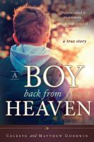 A_boy_back_from_heaven