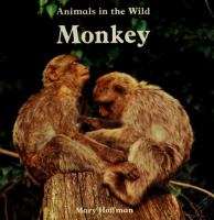 Animals_in_the_wild--monkey