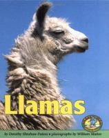 Llamas
