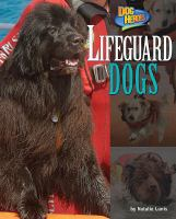 Lifeguard_dogs