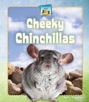 Cheeky_chinchillas