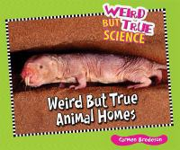 Weird_but_true_animal_homes