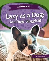 Lazy_as_a_dog