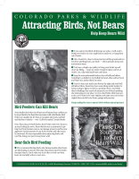 Attracting_birds__not_bears