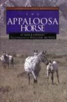 The_Appaloosa_horse
