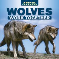 Wolves_work_together