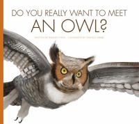 Do_you_really_want_to_meet_an_owl_
