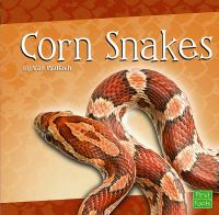 Corn_snakes
