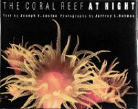 The_coral_reef_at_night