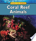 Coral_Reef_Animals
