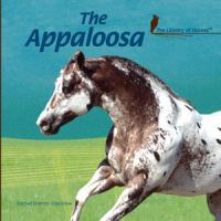 The_Appaloosa