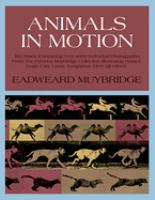 Animals_in_motion