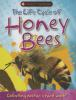 The_life_cycle_of_honey_bees