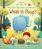What_is_poop_