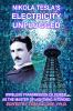 Nikola_Tesla_s_electricity_unplugged