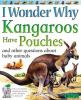 I_wonder_why_kangaroos_have_pouches_and_other_questions_about_baby_animals