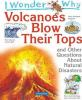 I_wonder_why_volcanoes_blow_their_tops