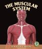 The_Muscular_System