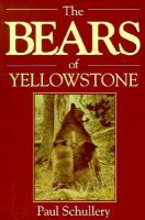 The_bears_of_Yellowstone