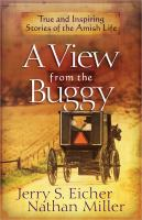 A_view_from_the_buggy