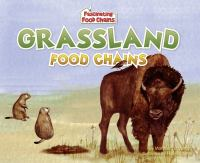Grassland_food_chains